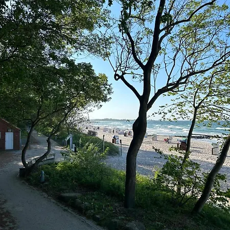 Toplage Direkt An Der Steilkueste - Fewo 1 