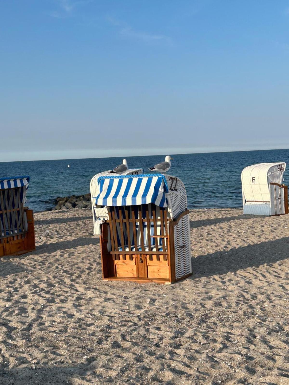 Apartment Toplage Direkt An Der Steilkueste - 1 